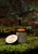 świeca sojowa Zielona noc 225 ml 5.JPG
