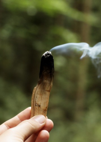 palo santo 2.jpg